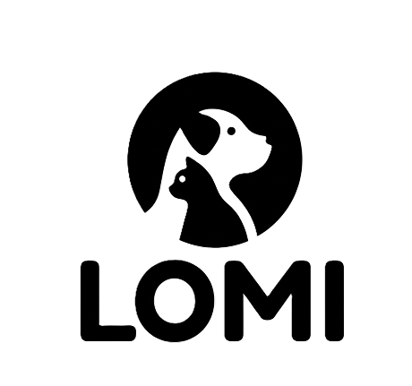 Lomi UX Design Project